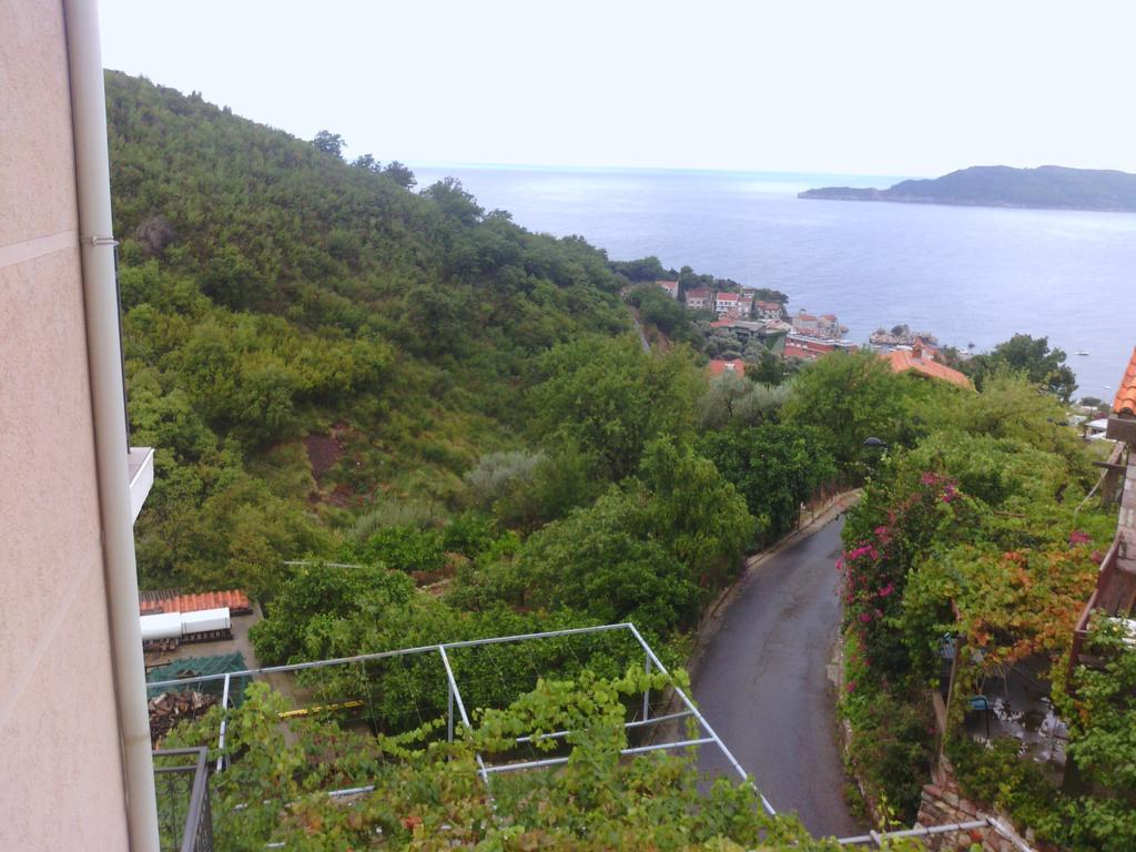 Apartments Mitrovic Podlicak Sveti Stefan Pokój zdjęcie