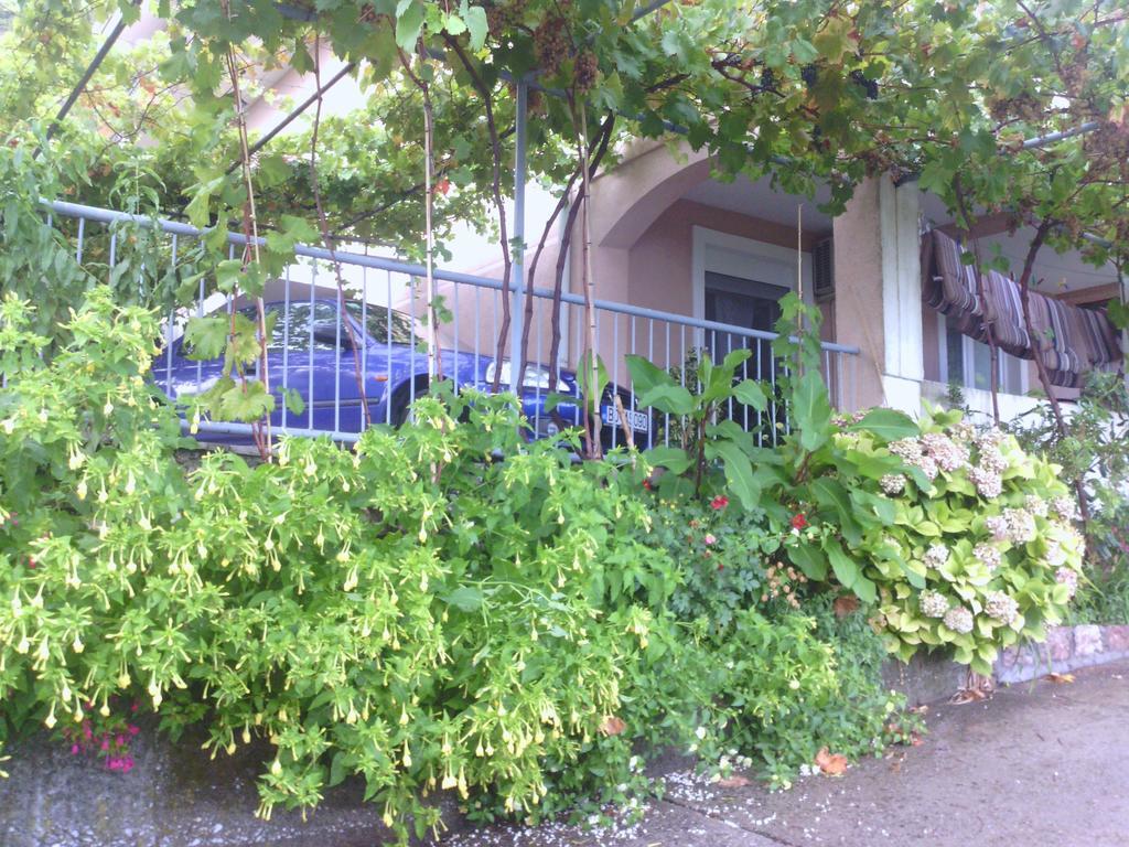 Apartments Mitrovic Podlicak Sveti Stefan Zewnętrze zdjęcie